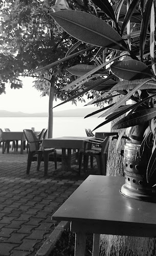 Gölyaka, 16825 Orhangazi̇/Bursa