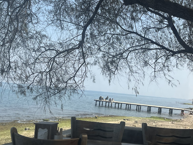 Opinii despre Zeytin Cafe & Restaurant Urla în Urla - Gastronomi ve konaklama