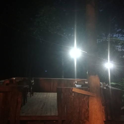 Opinii despre Niksar Kavlağanlık Alabalık Tesisi în Niksar - Gastronomi ve konaklama