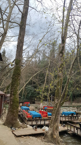 Opinii despre Tropik Bar în Kemer - Gastronomi ve konaklama