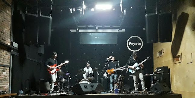 Opinii despre Peyote în Tepebaşı - Gastronomi ve konaklama