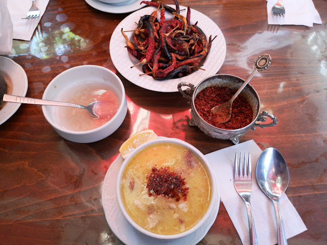 Şeyh, Kocahan Gç. No:7, 48000 Muğla Merkez/Muğla