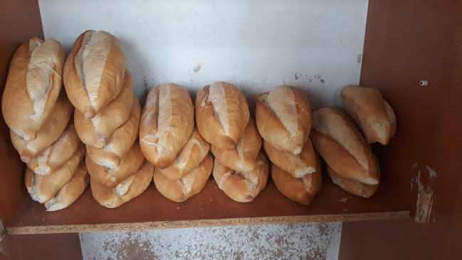 Söğütaltı kafe - Gastronomi ve konaklama