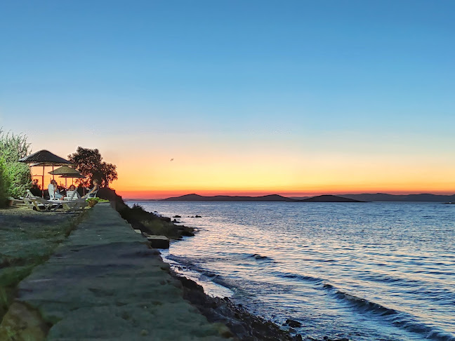 ılgın beach club restaurant cafe bar - Gastronomi ve konaklama