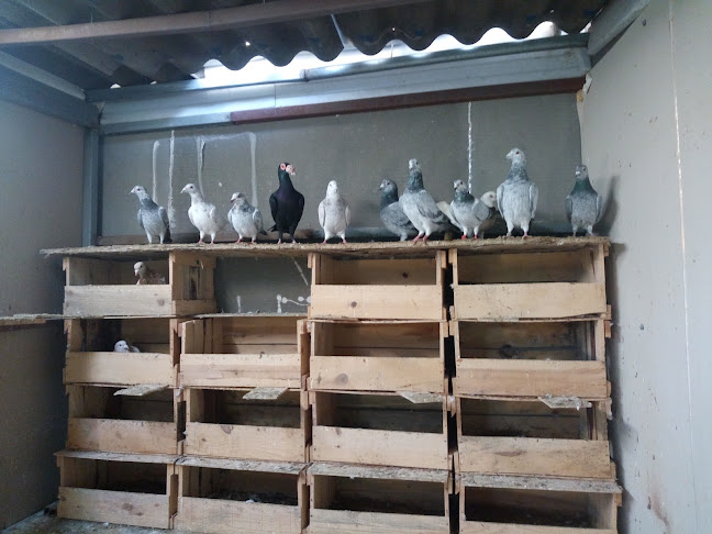 Karacabey Kıraathanesi - Karacabey