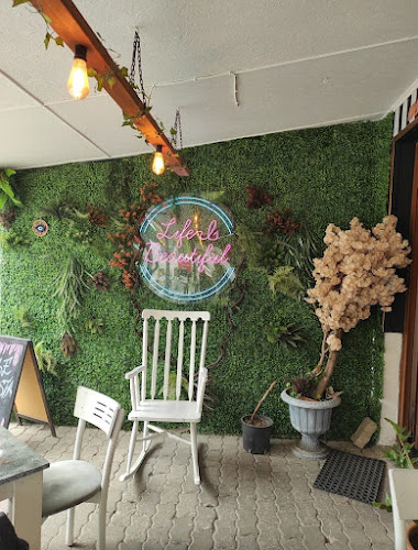 MARİ CAFE - Gastronomi ve konaklama