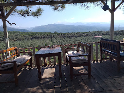 LOTUS AT ÇİFTLİĞİ