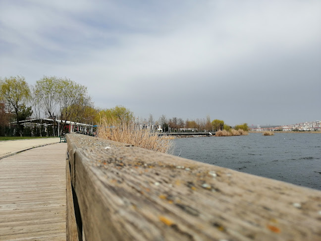 Comentarii opinii despre Aysa Restoran