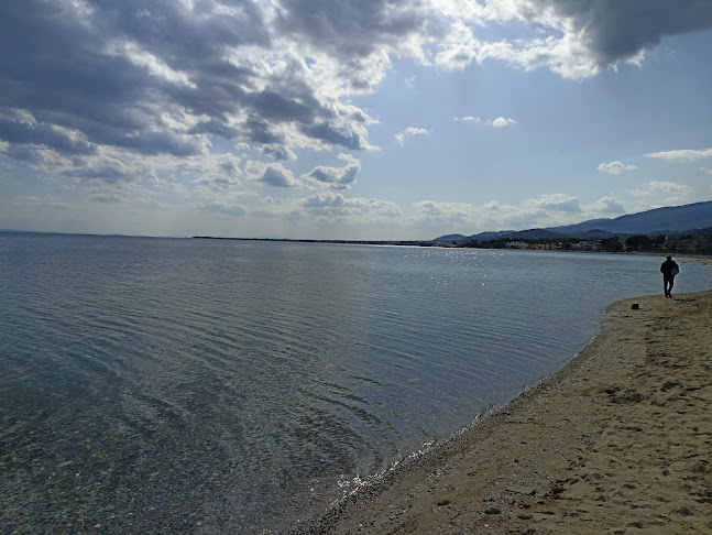 Opinii despre Çınaraltı Cafe beach în Edremit - Gastronomi ve konaklama