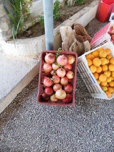 Opinii despre Yayla Kuzu Kokoreç în Finike - Gastronomi ve konaklama