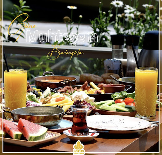 LOTUS coffee - Beykoz