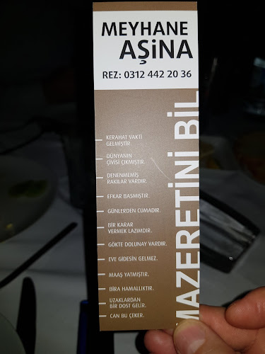 MEYHANE AŞİNA - Çankaya