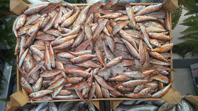 Balıkçınız Alkan Sarıgazi - Gastronomi ve konaklama