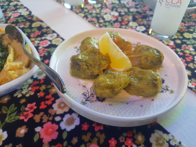 Comentarii opinii despre Ela Meyhane