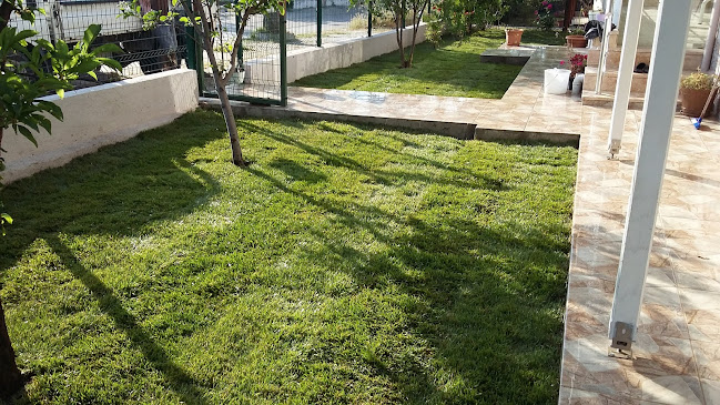 Comentarii opinii despre ılgın beach club restaurant cafe bar