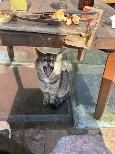 Opinii despre Palatium Cafe and Restaurant în Fatih - Gastronomi ve konaklama