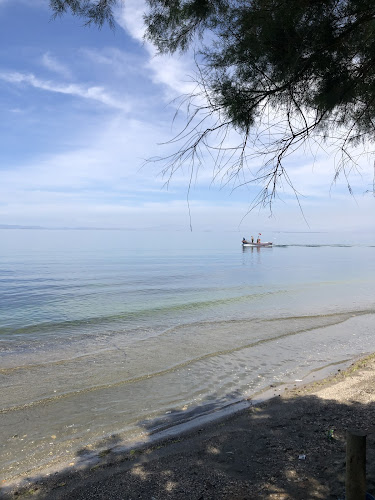 Comentarii opinii despre Zeytin Cafe & Restaurant Urla