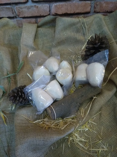 Hafize Ana Yöresel Ürünler ve Manda Yoğurdu - Gökçebey