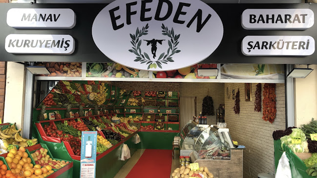 EFEDEN