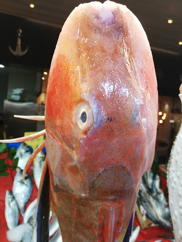 Yeşilova, Yesİlova Yan Yolu Caddesi, 34290 Küçükçekmece/İstanbul