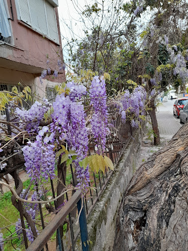 Sedir, 727. Sk. 34-1, 07010 Muratpaşa/Antalya, Türkiye