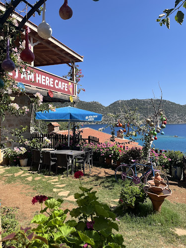 The I Am Here Cafe - Gastronomi ve konaklama