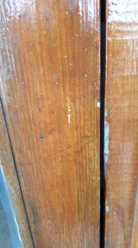 Mersin Yöre Evi - Gastronomi ve konaklama