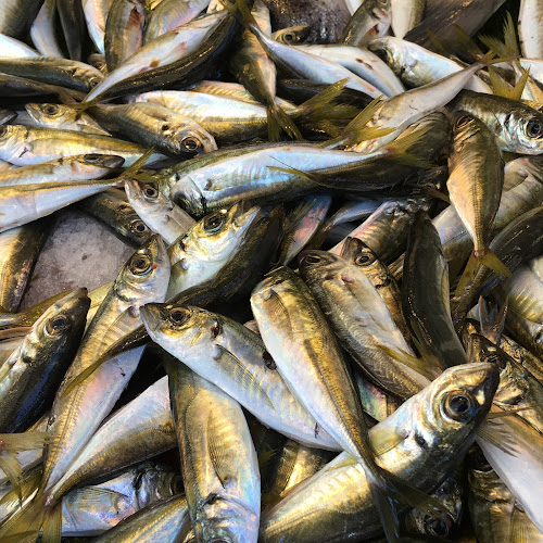 Balıkçılar Çarşısı, Piri Mehmet Paşa, Marina Cd. No:18, 34570 Silivri/İstanbul