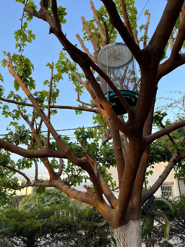 Kesikkapı, Kaya Cd. 118 sokak, 48300 Fethiye/Muğla