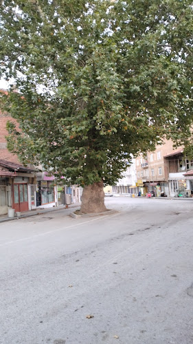 Opinii despre Yaǧmur Cafe în Tokat Merkez - Gastronomi ve konaklama