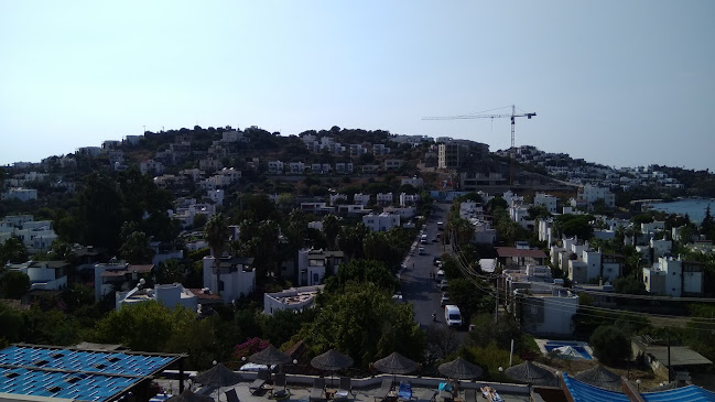 kabuk restaurant - Gastronomi ve konaklama