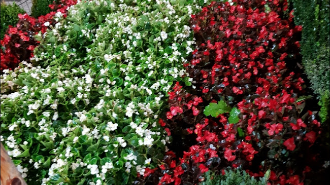 Karaca Kasap&Et&Mangal - Saray