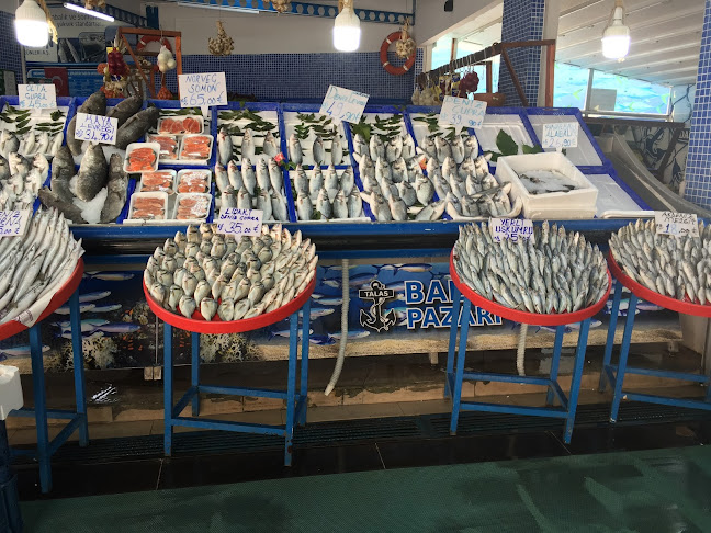 DALYAN BALIKÇI - Talas