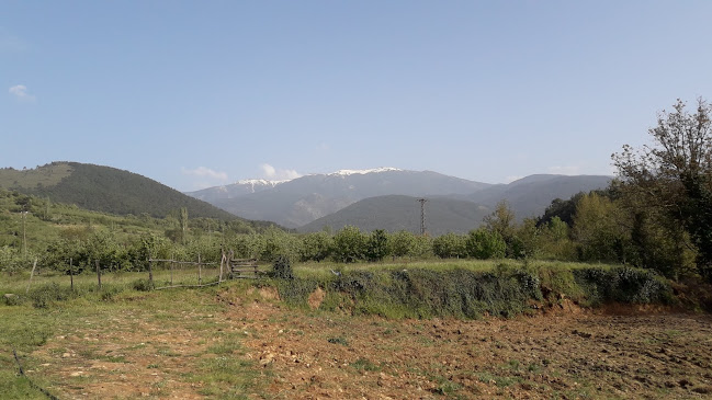 Ayazma Yolu Üzeri Evciler Köyü, No:398, 17720 Bayramiç/Çanakkale