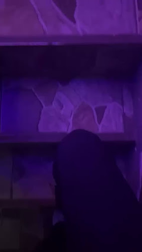 Opinii despre Sokak Pub Hopa în Hopa - Gastronomi ve konaklama