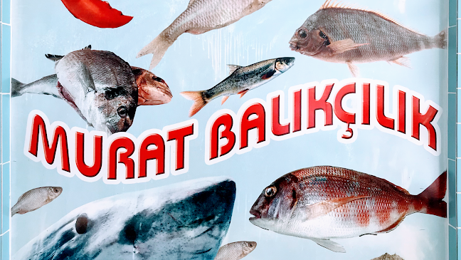 Murat Balıkçılık Side - Side Bld/Manavgat