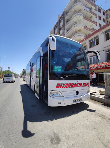 Comentarii opinii despre Ciğerci Salih Usta