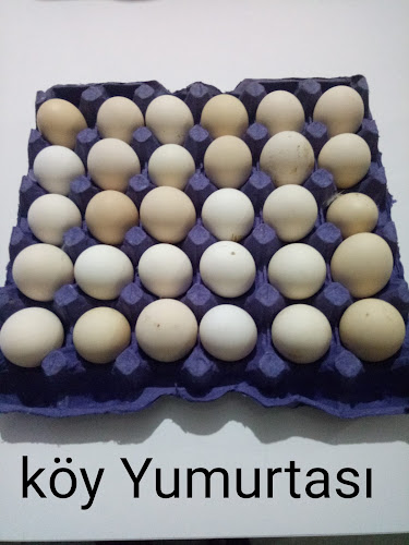 Opinii despre ERÇİN TAVUKÇULUK VE MARKET în Midyat - Gastronomi ve konaklama