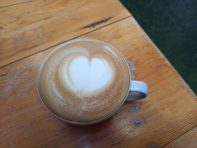 Opinii despre Cervantes Kitap Cafe în Ağrı Merkez - Gastronomi ve konaklama