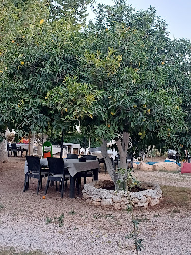 Deniz, 49364. Sokak 20/A, 33200 Mezitli/Mersin