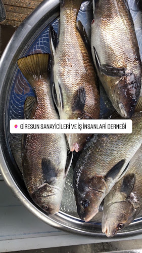 Giresun sanayicileri ve iş insanlari derneği lokali - Gastronomi ve konaklama