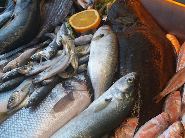 Opinii despre İhtiyar Balıkçı Restaurant în Bakırköy - Gastronomi ve konaklama