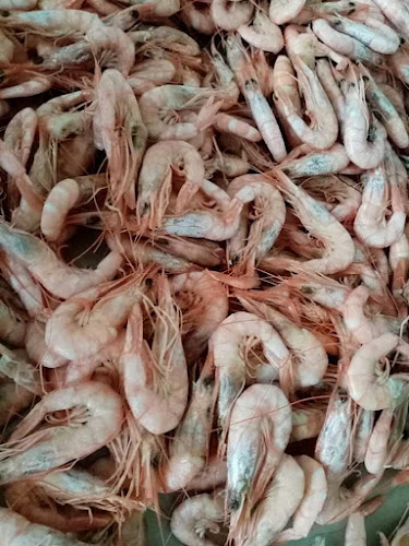 Comentarii opinii despre Tekirdağ balıkçı Turgutreisbalık/Alkolsüz