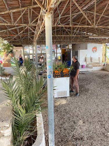 Kale, 07740 Finike/Antalya