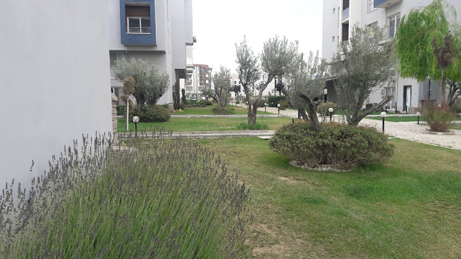 Studıo Kafe - Gastronomi ve konaklama