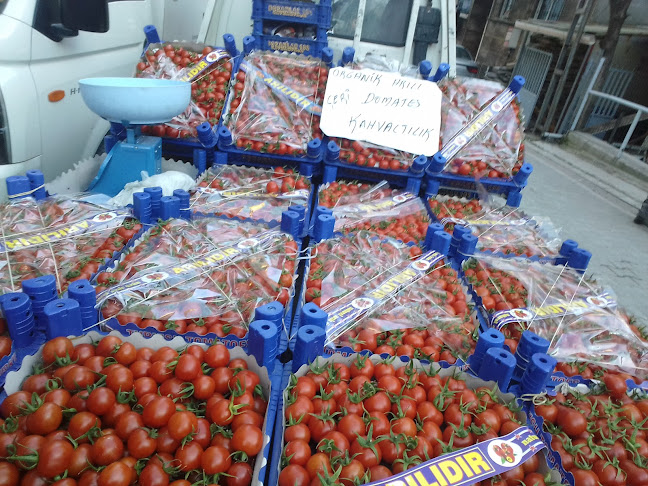 Opinii despre Doğan Ekmek & Pasta în Kıraç-Esenyurt/Esenyurt - Gastronomi ve konaklama