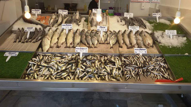 Barman Balıkçılık Kırklareli - Kırklareli Merkez