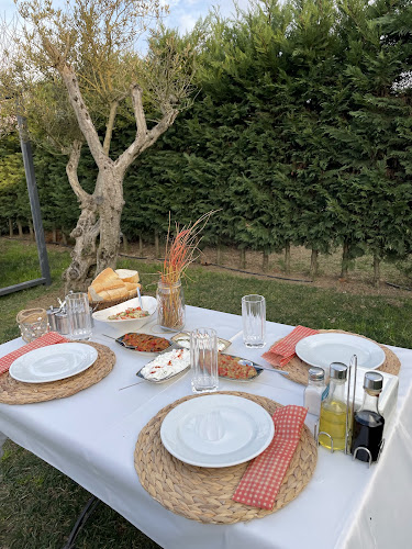 Comentarii opinii despre Pamera Garden