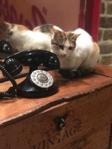 Zenginler, 2. Sk. No:4, 31070 Antakya/Hatay