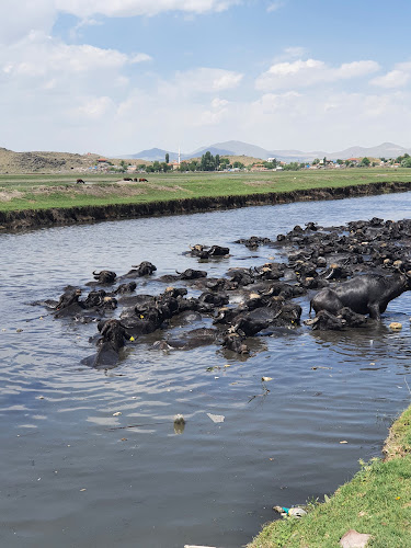 Dokuz pınar kahvaltı evi - Gastronomi ve konaklama
